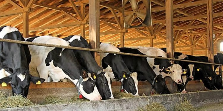 മൃഗസംരക്ഷണ മേഖലയിലെ മികച്ച കർഷകർക്കുള്ള അവാർഡിന് അപേക്ഷ ക്ഷണിച്ചു