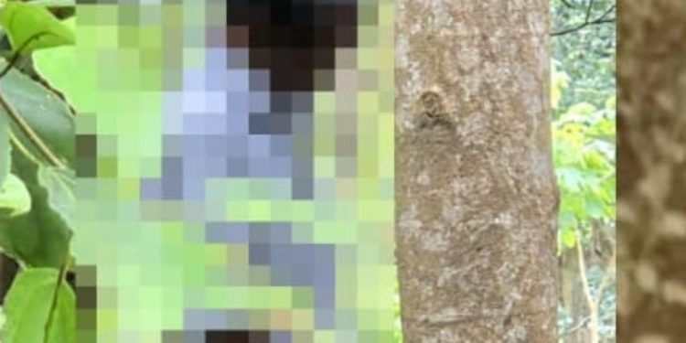 നിരവധി കേസുകളിലെ പ്രതിയെ തൂങ്ങി മരിച്ച നിലയില്‍ കണ്ടെത്തി