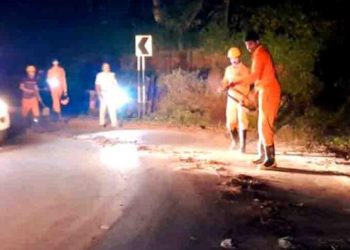 ഓയിൽ ലീക്കായി റോഡിൽ വീണു: കഴുകി അഗ്‌നിരക്ഷാ സേന