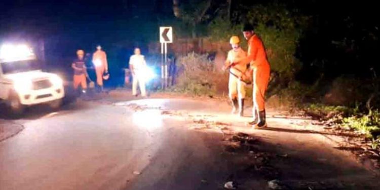 ഓയിൽ ലീക്കായി റോഡിൽ വീണു: കഴുകി അഗ്‌നിരക്ഷാ സേന