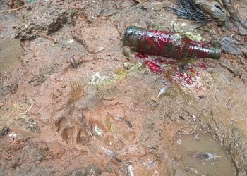 ചീരാലിൽ വീണ്ടും പുലി