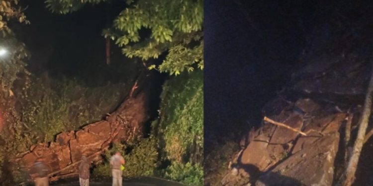 ചുരത്തിൽ ഗതാഗതം പൂർണമായും നിരോധിച്ചു :യാത്രക്കാർ മറ്റു വഴികൾ ഉപയോഗിക്കുക