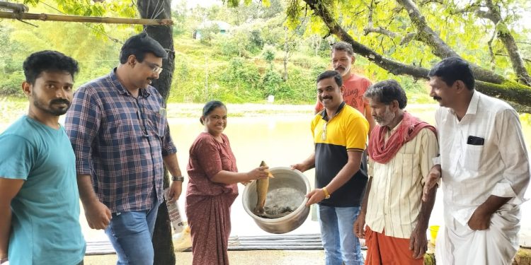 ഓണക്കാലത്ത് മത്സ്യ സമൃദ്ധി, നല്ലോണം മീനോണം വിളവെടുപ്പുത്സവം നടത്തി