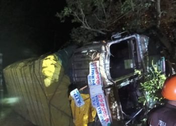 മൂലങ്കവിൽ നിയന്ത്രണം വിട്ട ലോറി മരത്തിലിടിച്ച് മറിഞ്ഞു, ഡ്രൈവർക്ക് പരിക്ക്