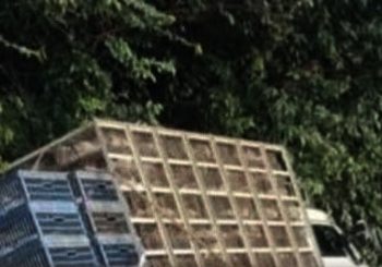 ചുരത്തിൽ ലോറി ഓവു ചാലിലേക്ക് മറിഞ്ഞു