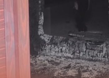 വാതിലിന് തീയിട്ട് വീണ്ടും മോഷണം: സംഭവം ബത്തേരിയിൽ