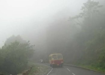 കുറ്റ്യാടി ചുരത്തിൽ പിക്കപ്പ് വാൻ അപകടത്തിൽപ്പെട്ടു