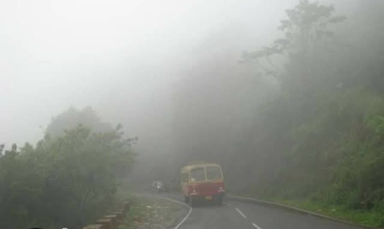 കുറ്റ്യാടി ചുരത്തിൽ പിക്കപ്പ് വാൻ അപകടത്തിൽപ്പെട്ടു