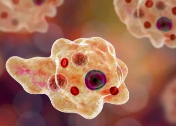 വീണ്ടും അമീബിക് മസ്തിഷ്‌കജ്വരം;3 മാസം പ്രായമുള്ള കുഞ്ഞിനും യുവാവിനും രോഗം സ്ഥിരീകരിച്ചു