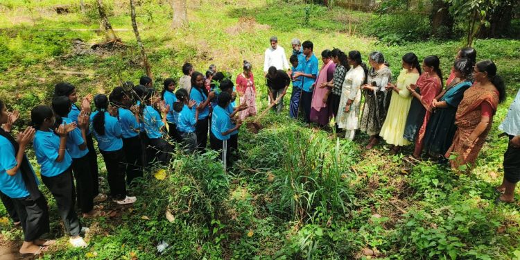 ബാംബു വില്ലേജ്: മുളദിനാഘോഷം സംഘടിപ്പിച്ചു