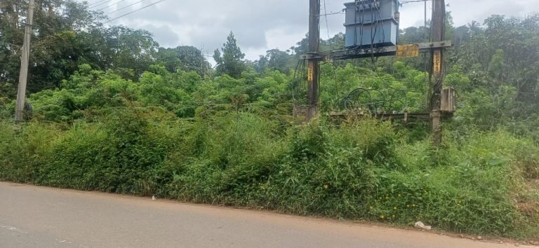 കാട് മൂടി പാണ്ടിക്കടവ് കണ്ടത്തുവയൽ റോഡ്; വിദ്യാർത്ഥികൾ അടക്കം യാത്ര ഭീതിയോടെ