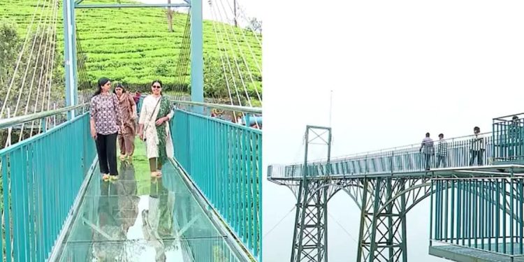 അതിജീവനത്തിൻ്റെ ടൂറിസം; അട്ടമലയിലെ കണ്ണാടി പാലം സഞ്ചാരികള്ക്കായി തുറന്നു