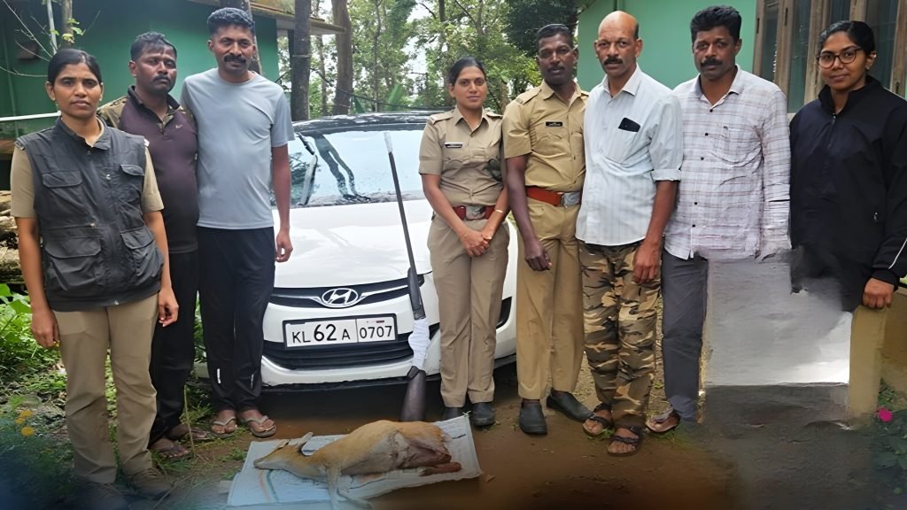 തോക്കും വെടിയുണ്ടകളും കേഴമാനിന്റെ ജഡവും വനംവകുപ്പ് പിടികൂടി