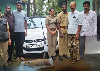 തോക്കും വെടിയുണ്ടകളും കേഴമാനിന്റെ ജഡവും വനംവകുപ്പ് പിടികൂടി