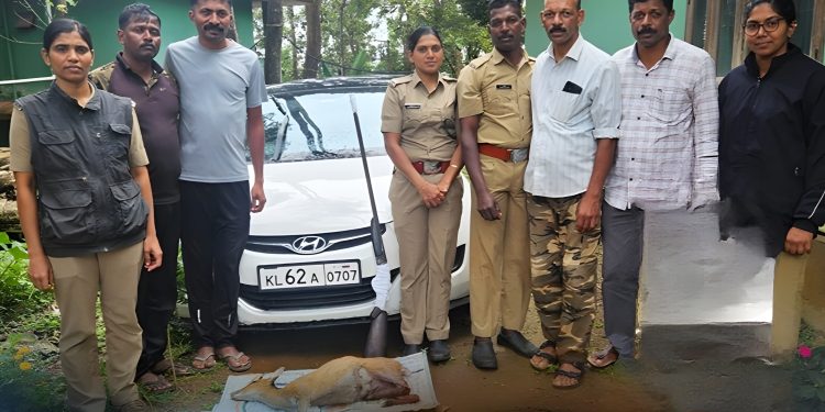 തോക്കും വെടിയുണ്ടകളും കേഴമാനിന്റെ ജഡവും വനംവകുപ്പ് പിടികൂടി