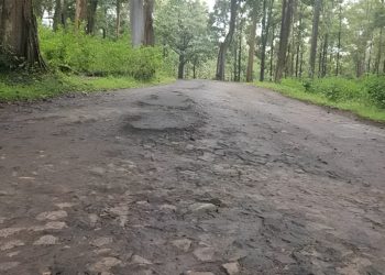 പാളക്കൊല്ലി-ചേകാടി റോഡ് തകർന്ന നിലയിൽ; അധികൃതർ തിരിഞ്ഞുനോക്കുന്നില്ലെന്ന് വ്യാപക പരാതി