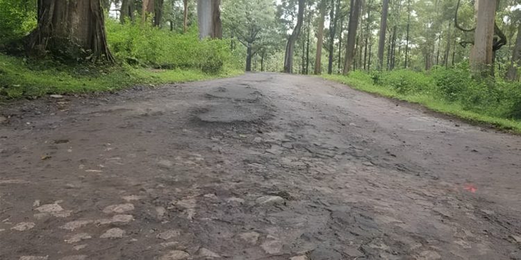 പാളക്കൊല്ലി-ചേകാടി റോഡ് തകർന്ന നിലയിൽ; അധികൃതർ തിരിഞ്ഞുനോക്കുന്നില്ലെന്ന് വ്യാപക പരാതി