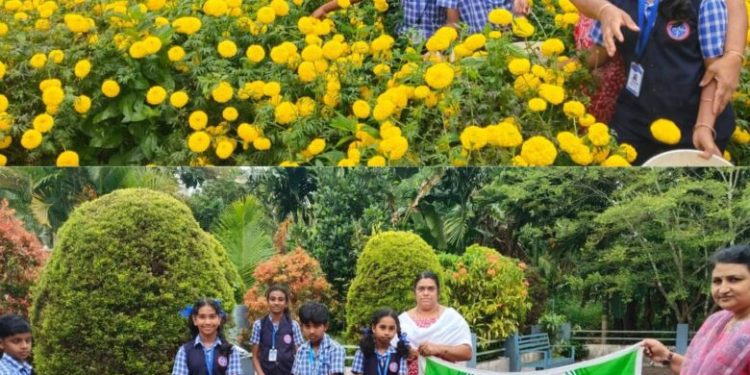 കബനിഗിരി സെൻമേരിസ് എ യു പി സ്കൂളിൽ ബന്തിപൂ കൃഷി വിളവെടുപ്പ് നടത്തി