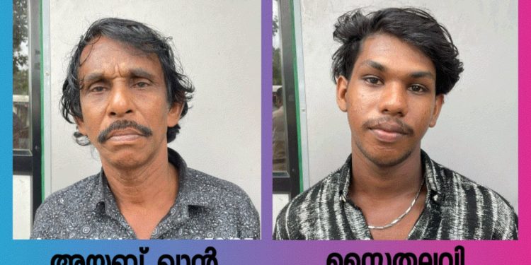 കൊല്ലത്ത് തെളിവെടുപ്പിനിടെ കസ്റ്റഡിയിൽ നിന്നും രക്ഷപ്പെട്ട പ്രതികൾ വയനാട് പോലീസിന്റെ പിടിയിൽ