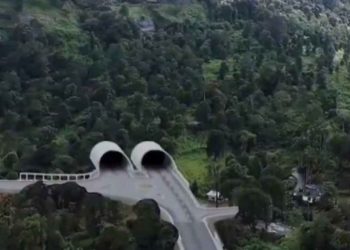 തുരങ്കപാത: വനം ഭൂമിക്ക് പകരം റവന്യൂ ഭൂമി കൈമാറാൻ സർക്കാർ തീരുമാനം