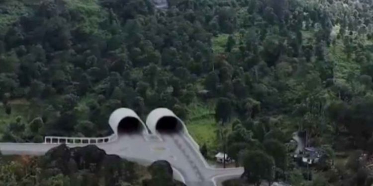 തുരങ്കപാത: വനം ഭൂമിക്ക് പകരം റവന്യൂ ഭൂമി കൈമാറാൻ സർക്കാർ തീരുമാനം