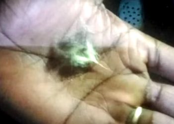 നാട്ടിലിറങ്ങിയ കടുവയും പുലിയും ഏറ്റുമുട്ട‌ി; പുലിക്ക് സാരമായ പരുക്ക്, കടുവയുടെ പല്ലും നഖവും നിലത്ത്