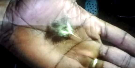 നാട്ടിലിറങ്ങിയ കടുവയും പുലിയും ഏറ്റുമുട്ട‌ി; പുലിക്ക് സാരമായ പരുക്ക്, കടുവയുടെ പല്ലും നഖവും നിലത്ത്