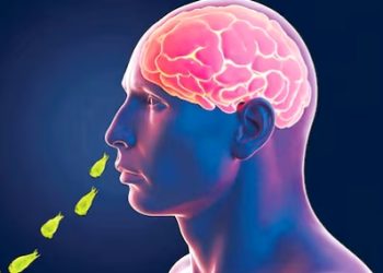 അമീബിക് മസ്തിഷ്കജ്വരം: കുളിമുറിയിൽ കുളിക്കുന്നവർക്കും രോഗബാധ; കേസുകൾ കൂടുതൽ കേരളത്തിൽ, പ്രതിരോധം പാളുന്നു