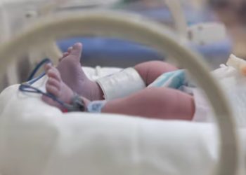 മണ്ണിനടിയിൽ നിന്ന് കരച്ചിൽ; ഉറുമ്പുകൾ പൊതിഞ്ഞ നിലയിൽ കണ്ടെത്തിയ പെൺകുഞ്ഞിന് അദ്ഭുത രക്ഷ