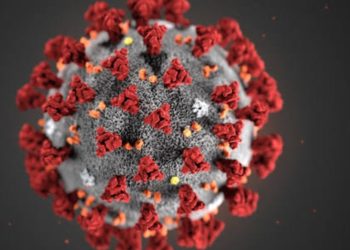 വിട്ടൊഴിയാതെ കോവിഡ് ഭീതി: ഈ വർഷം കേരളത്തിൽ 58 മരണം, ‘പോസ്റ്റ് കോവിഡ്’ പ്രശ്നം പഠിക്കാതെ ആരോഗ്യ വകുപ്പ്