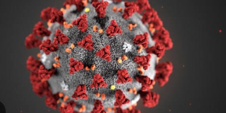 വിട്ടൊഴിയാതെ കോവിഡ് ഭീതി: ഈ വർഷം കേരളത്തിൽ 58 മരണം, ‘പോസ്റ്റ് കോവിഡ്’ പ്രശ്നം പഠിക്കാതെ ആരോഗ്യ വകുപ്പ്