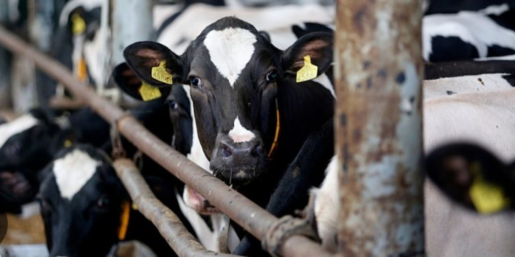 സമഗ്ര ഫാം സഹായ പദ്ധതിയിലേക്ക് അപേക്ഷിക്കാം