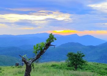 വയനാടിന്റെ വാഗമൺ ഇനി ഹരിത ടൂറിസം കേന്ദ്രം; സഞ്ചാരികളുടെ മനം കവർന്ന് മുനീശ്വരൻകുന്ന്