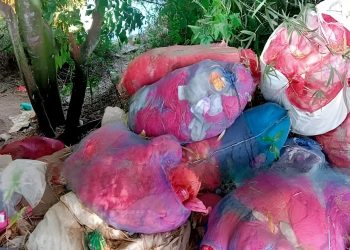 കല്ലൂർ പാലം മാലിന്യക്കൂമ്പാരമായി; ദുർഗന്ധം പേറി യാത്രക്കാർ