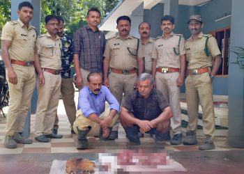 കേഴമാനിനെ വേട്ടയാടി; സഹോദരങ്ങൾ അറസ്റ്റിൽ