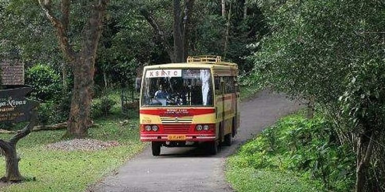 വന്യജീവികളുടെ ഫോട്ടോ എടുക്കാൻ ബസ് നിർത്തരുത്; കെഎസ്ആർടിസിക്ക് വനം വകുപ്പിന്റെ മുന്നറിയിപ്പ്