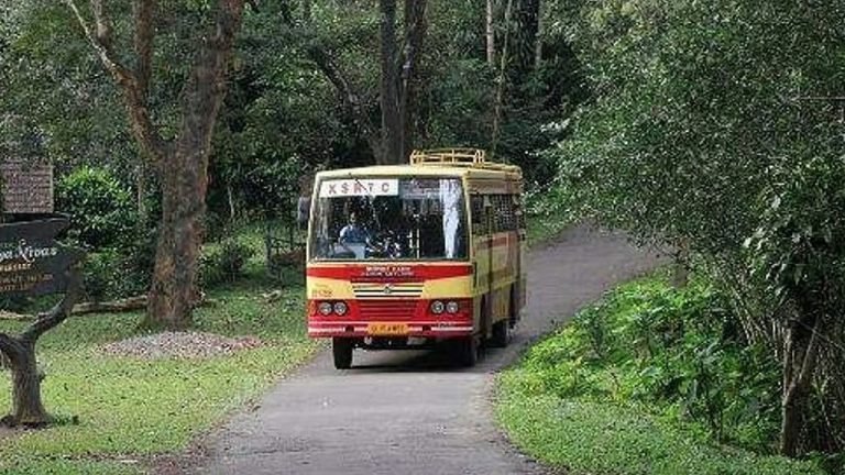 വന്യജീവികളുടെ ഫോട്ടോ എടുക്കാൻ ബസ് നിർത്തരുത്; കെഎസ്ആർടിസിക്ക് വനം വകുപ്പിന്റെ മുന്നറിയിപ്പ്