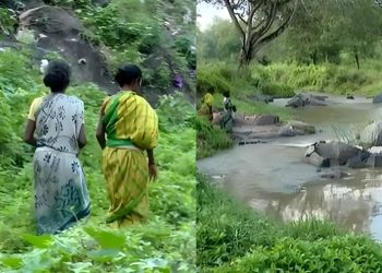 കക്കൂസില്ല, ആശ്രയം കടുവസങ്കേതം; വണ്ടിക്കടവ് ഉന്നതി ദുരിതത്തിൽ