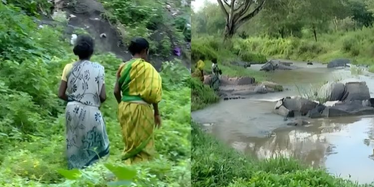 കക്കൂസില്ല, ആശ്രയം കടുവസങ്കേതം; വണ്ടിക്കടവ് ഉന്നതി ദുരിതത്തിൽ