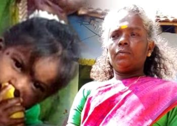 ജനൽ തകർത്ത് വീടിനുള്ളിലേക്ക് കാട്ടാന; 3 വയസ്സുകാരിക്കും മുത്തശ്ശിക്കും ദാരുണാന്ത്യം