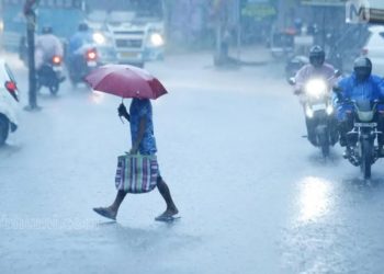 കേരളത്തിൽ ഇന്നും മഴ:വയനാട് ഉൾപ്പെടെ ഒൻപത് ജില്ലകളിൽ യെല്ലോ അലെർട്ട്