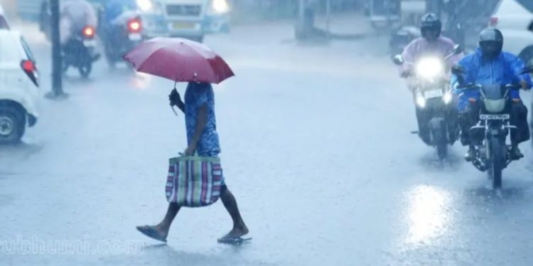 കേരളത്തിൽ ഇന്നും മഴ:വയനാട് ഉൾപ്പെടെ ഒൻപത് ജില്ലകളിൽ യെല്ലോ അലെർട്ട്