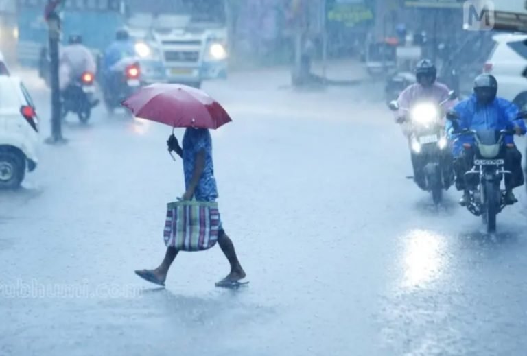 കേരളത്തിൽ ഇന്നും മഴ:വയനാട് ഉൾപ്പെടെ ഒൻപത് ജില്ലകളിൽ യെല്ലോ അലെർട്ട്