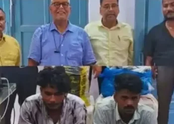 കോടികള്‍ വിലമതിക്കുന്ന തായ് കഞ്ചാവുമായി മലയാളി യുവാക്കള്‍  അറസ്റ്റില്‍