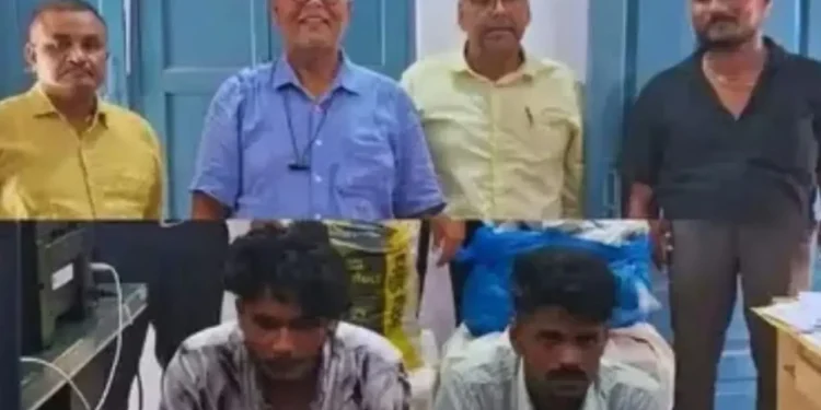 കോടികള്‍ വിലമതിക്കുന്ന തായ് കഞ്ചാവുമായി മലയാളി യുവാക്കള്‍  അറസ്റ്റില്‍