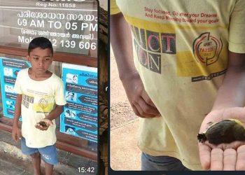 ഡോക്ടറേ, ഈ കിളിക്കുഞ്ഞിനെ ജീവന്‍ വെപ്പിക്കാവോ..