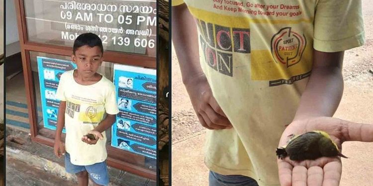 ഡോക്ടറേ, ഈ കിളിക്കുഞ്ഞിനെ ജീവന് വെപ്പിക്കാവോ..