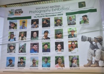 വയനാട് ബേഡ് ഫെസ്റ്റിവലിൽ അപൂർവ പക്ഷികളുടെ വിസ്മയം ശ്രദ്ധേയമായി