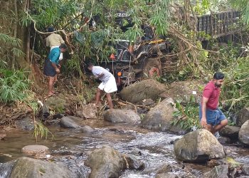 താമരശ്ശേരി ചുരത്തിൽ ചരക്ക് ലോറി കൊക്കയിലേക്ക് മറിഞ്ഞു