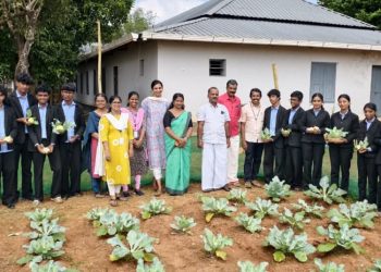 ശീതകാല പച്ചക്കറി വിളവെടുപ്പ് നടത്തി
